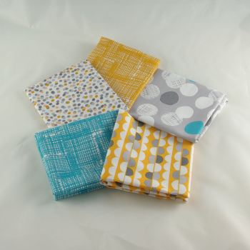 Light & Shade -  5 Fat Quarter Bundle
