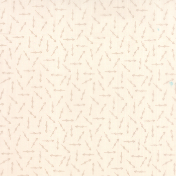 Bright Sun Dusk on Bisque Arrows