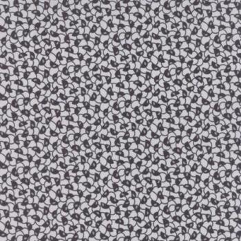 Behind The Scenes Half Moon -Storm