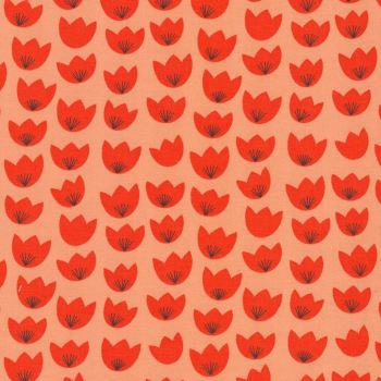 Foxglove - Evening Primrose in Orange