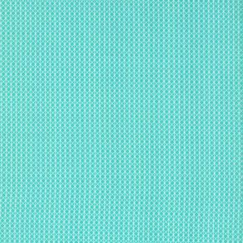 Cotton & Steel Netorious in Toy Boat