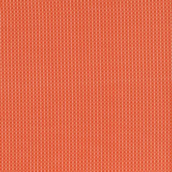 Cotton & Steel Netorious in Roadster