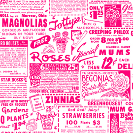 Pam Kitty Garden - Grow - Red